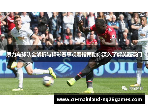 魔力鸟球队全解析与精彩赛事观看指南助你深入了解英超豪门