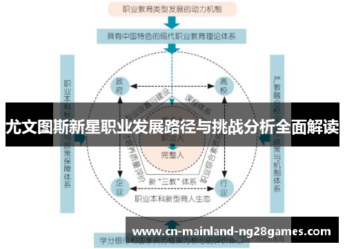 尤文图斯新星职业发展路径与挑战分析全面解读 尤文图斯新星职业发展路径与挑战分析全面解读