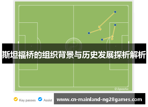 斯坦福桥的组织背景与历史发展探析解析