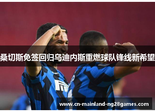 桑切斯免签回归乌迪内斯重燃球队锋线新希望